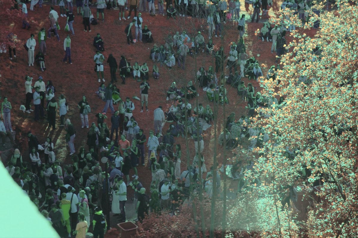 The same photo with the Aerochrome look