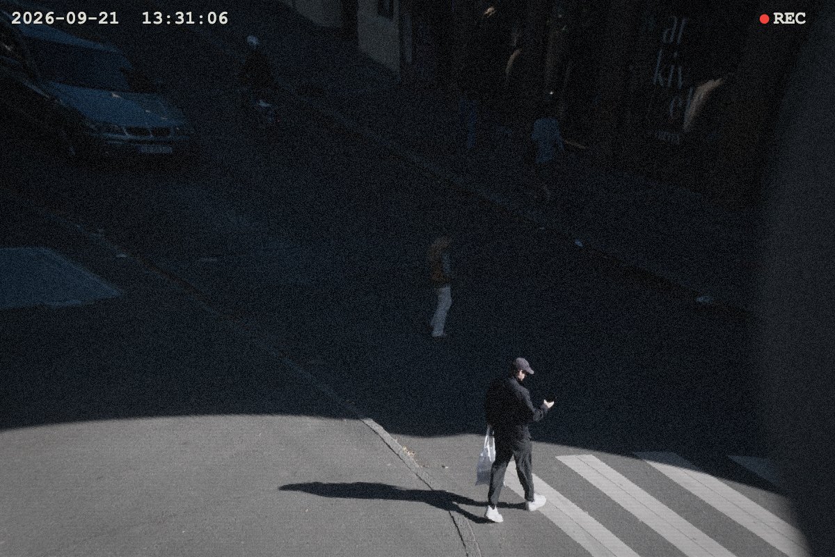 The same photo with the CCTV look